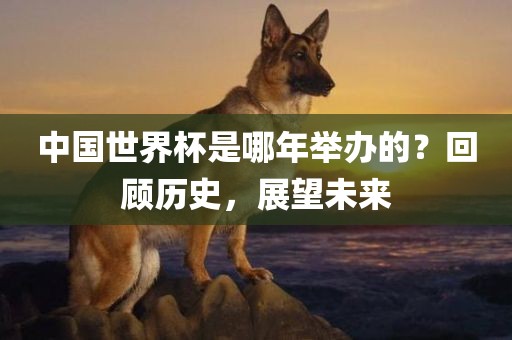 中国世界杯是金炬实业股份有限公司哪年举办的？回顾历史，展望未来