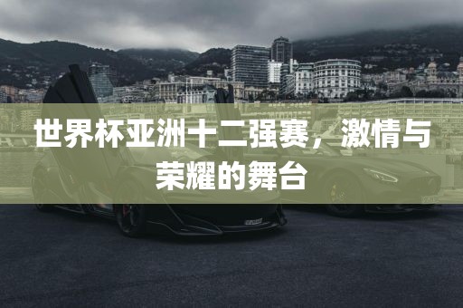 世界杯亚洲十二强赛，激情与荣耀的舞台金炬实业股份有限公司