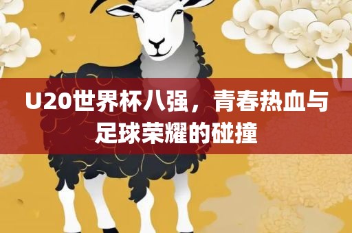 U20世界杯八强，青春热血与足球荣耀的碰撞