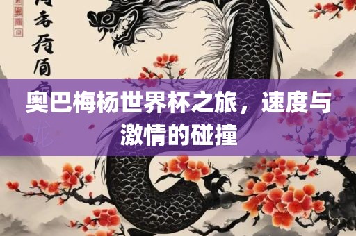 奥巴梅杨世界杯之旅，速度与激情的碰撞金炬实业股份有限公司