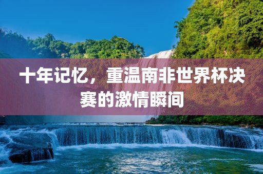 十年记忆，重温南非世界杯决赛的激情瞬间