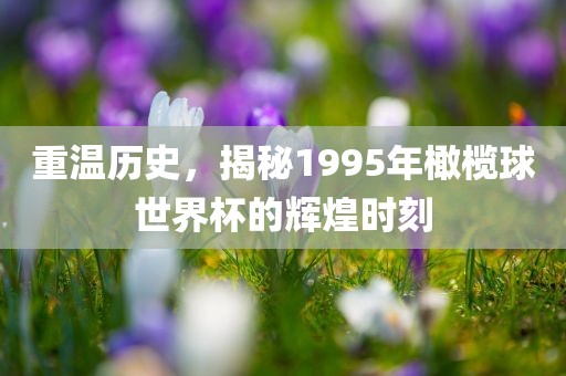 重温历史，揭秘1995年橄榄球世界杯的辉煌时刻