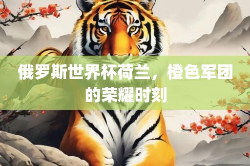 俄罗斯世界杯荷兰，橙色军团的荣耀时刻金炬实业股份有限公司