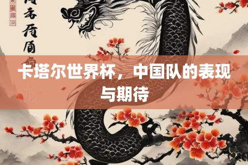 卡塔尔世界杯，中国队的表现与期待