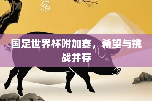 国足世界杯附加赛，希望与挑战并存