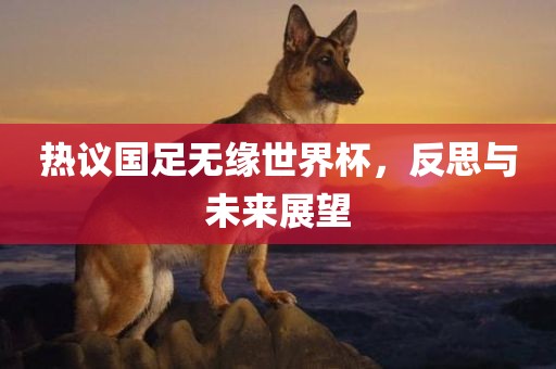 热议国足无缘世界杯，反思与未来展望金炬实业股份有限公司