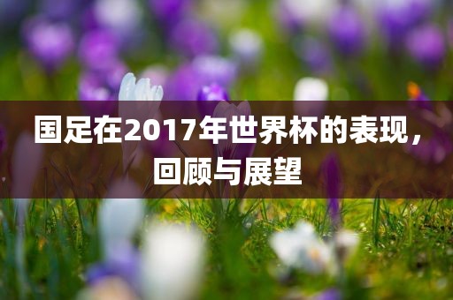 国足在2017年世界杯的表现，回顾与展望