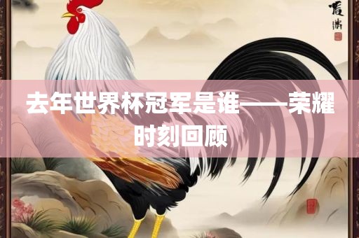 去年世金炬实业股份有限公司界杯冠军是谁——荣耀时刻回顾