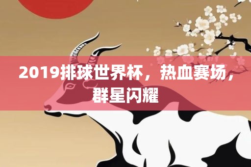 2019排球世界杯，热血赛场，群星闪耀