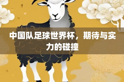 中国队足球世界杯