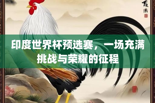 印度世界杯预选赛，一场充满挑战与荣耀的征程