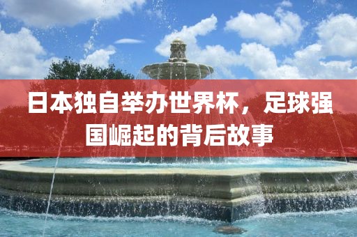 日本独自举办世界杯，足球强国崛起的背后故事金炬实业股份有限公司