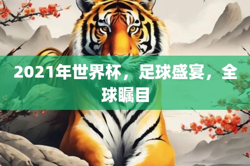 足球盛宴 第9页