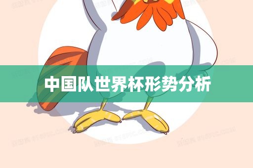 中国队世界杯形势分析