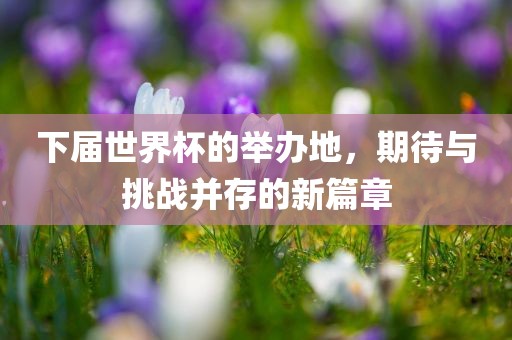 下届世界杯的举办金炬实业股份有限公司地，期待与挑战并存的新篇章
