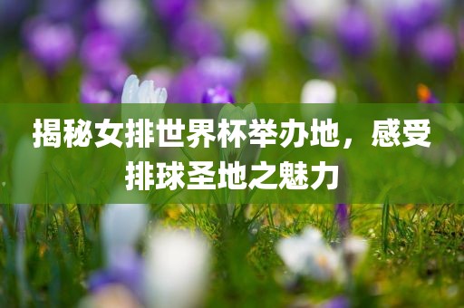 揭秘女排世界杯举办地，感受排球圣地之魅力金炬实业股份有限公司