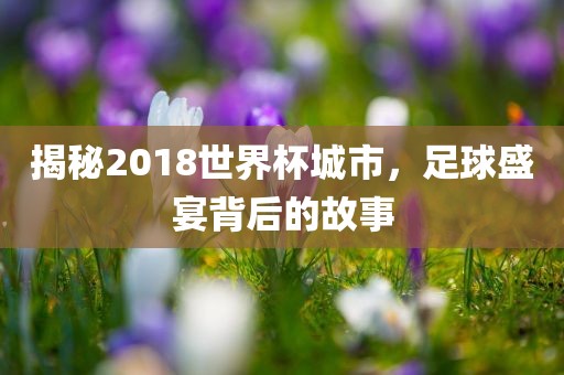 揭秘2018世界杯城市，足球盛宴背后的故事