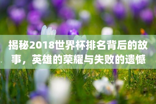 揭秘2018世界杯排名背后的故事，英雄的荣耀与失败的遗憾