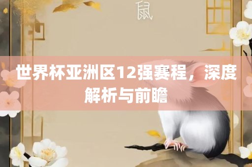 世界杯亚洲区12强赛程，深度解析与前瞻