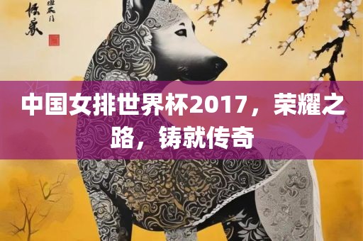 中国女排世界杯2017，荣耀之路，铸就传奇金炬实业股份有限公司