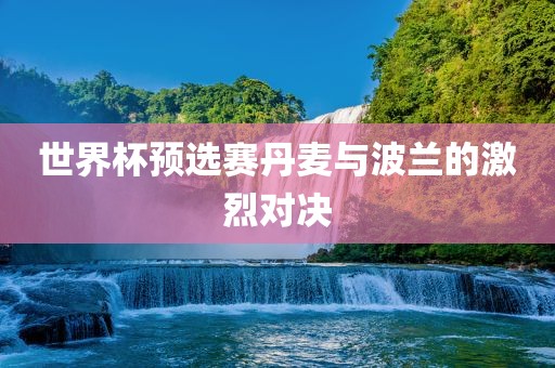 世界杯预选赛丹麦与波兰的激烈对决金炬实业股份有限公司