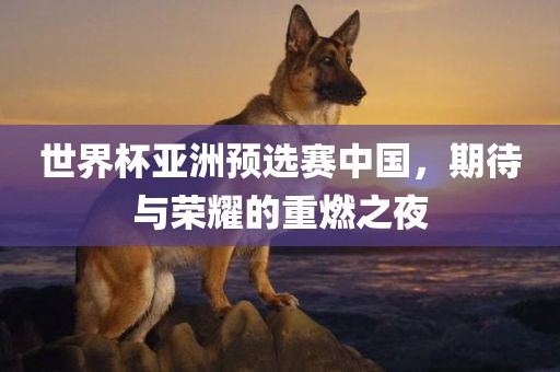 世界杯亚洲预选赛中国，期待与荣耀的重燃之夜