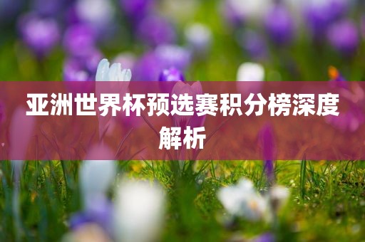 亚洲世界杯预选赛积分榜深度解析