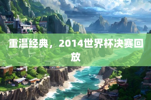 重温经典，2014世界杯决赛回放