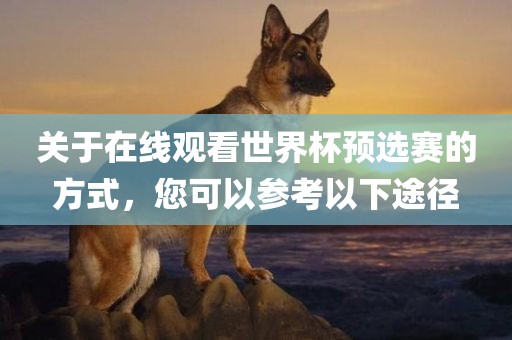 关于在线观看世界杯预选赛的方式，您可以参考以下途径金炬实业股份有限公司