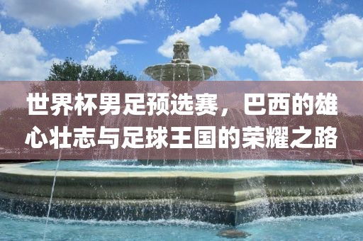 世界杯男足预选赛，巴西的雄心壮志与足球王国的荣耀之路金炬实业股份有限公司