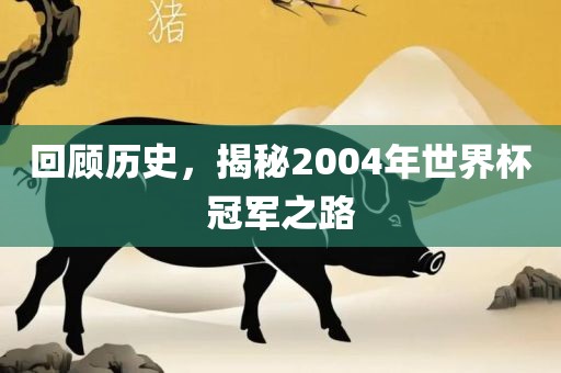 回顾历史，揭秘2004年世界杯冠军之路