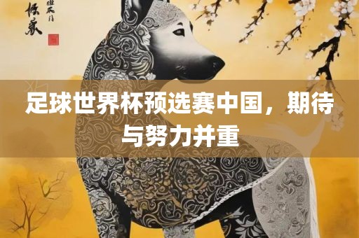 足球世界杯预选赛中国，期待与努力并重金炬实业股份有限公司