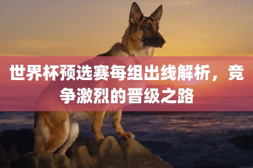 世界杯预选赛每组出线解析，竞争激烈的金炬实业股份有限公司晋级之路