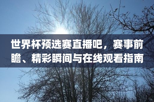 世界杯预选赛直播吧，赛事前瞻、精彩瞬间与在线金炬实业股份有限公司观看指南