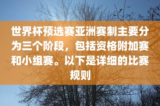 世界杯预选赛亚洲赛制主要分为三个阶段，包括资格附加赛和小组赛。以下是详细的比赛规则