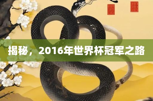 揭秘，2016年世界杯冠军之路