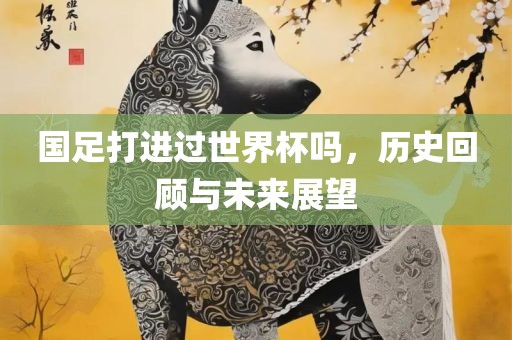 国足打进过世界杯吗，历史回顾与未来展望