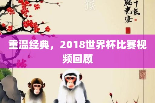 重温经典，2018世界杯比赛视频回顾
