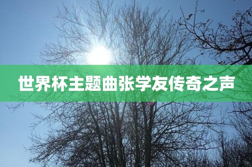 世界杯主题曲张学友传奇之声