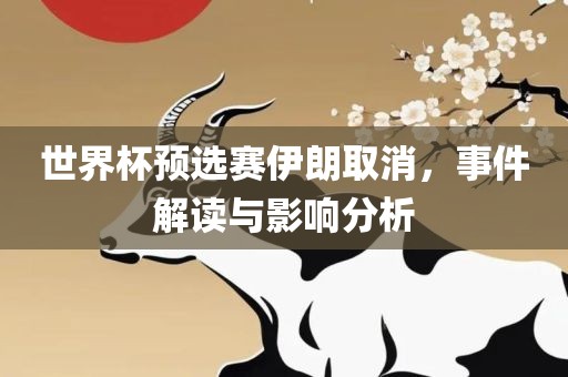 世界杯预选赛伊朗取消，事件解读与影响分析金炬实业股份有限公司