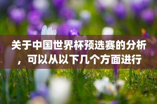 关于中国世界杯预选赛的分析，可以从以下几个方面进行