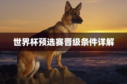 世界杯预选赛晋级条件详解金炬实业股份有限公司