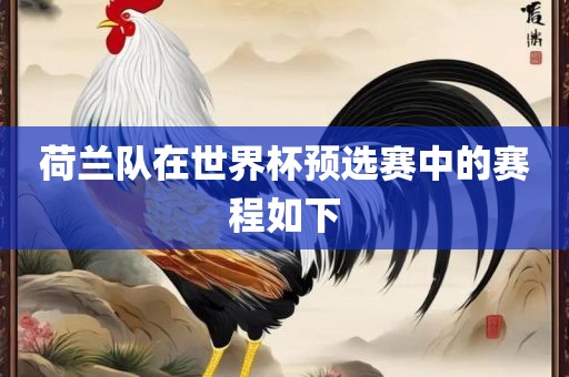 荷兰队在世界杯预选赛中的赛程如下金炬实业股份有限公司