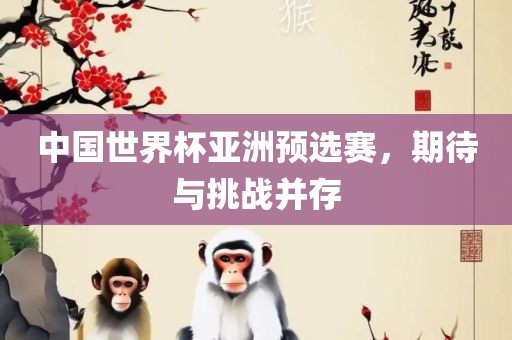 中国世界杯亚洲预选赛，期待与挑战并存