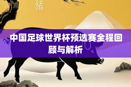 中国足球世界杯预选赛全程回顾与解析金炬实业股份有限公司
