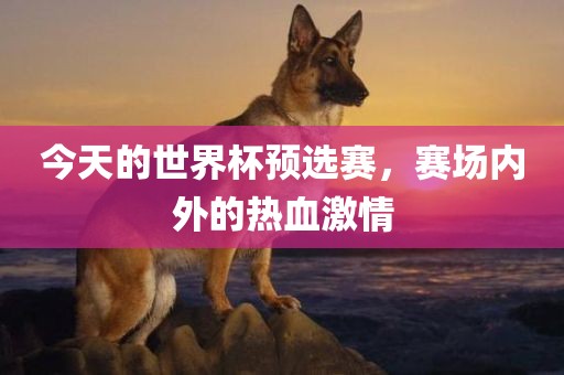 今天的世界杯预选赛，赛场内外的热血激情金炬实业股份有限公司