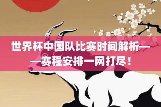 世界杯中国队比赛时间解析金炬实业股份有限公司——赛程安排一网打尽！