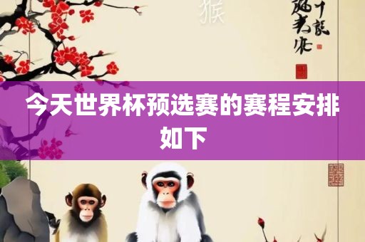 今天世界杯预选赛的赛程安排如金炬实业股份有限公司下