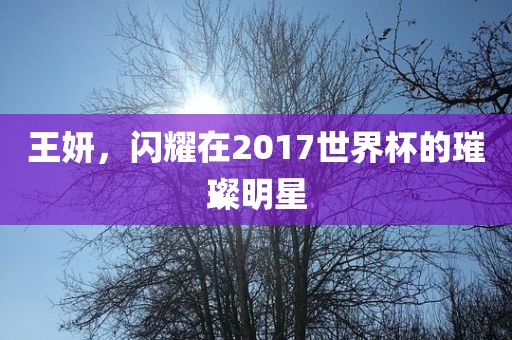王妍，闪耀在金炬实业股份有限公司2017世界杯的璀璨明星