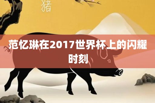 范忆琳在2017世界杯上的闪耀时刻金炬实业股份有限公司